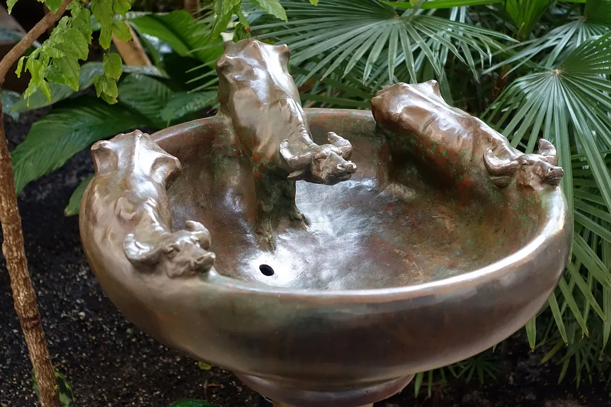 Bird baths
