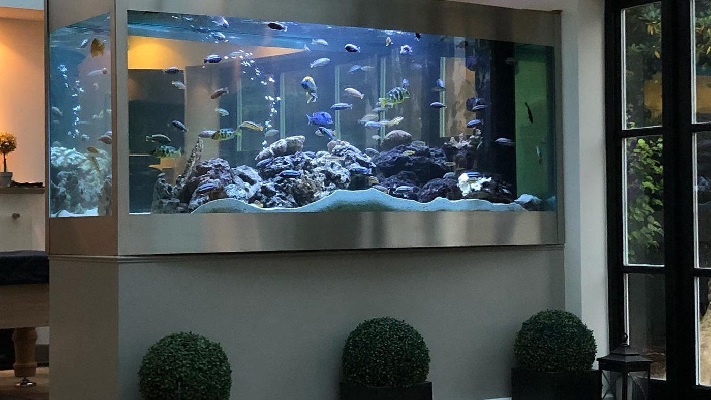 Aquarium Experts Ltd