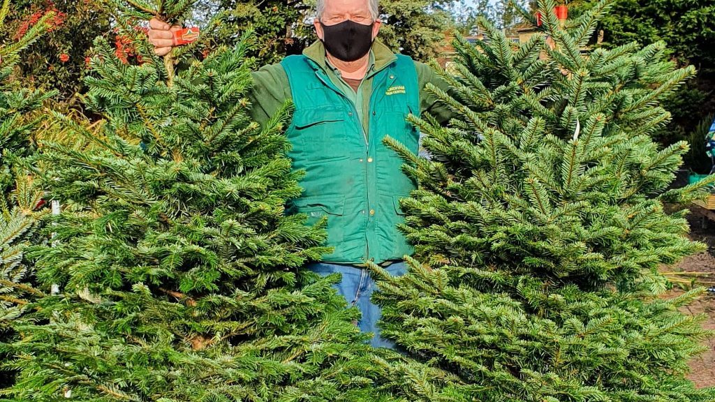 Aylsham Garden Centre