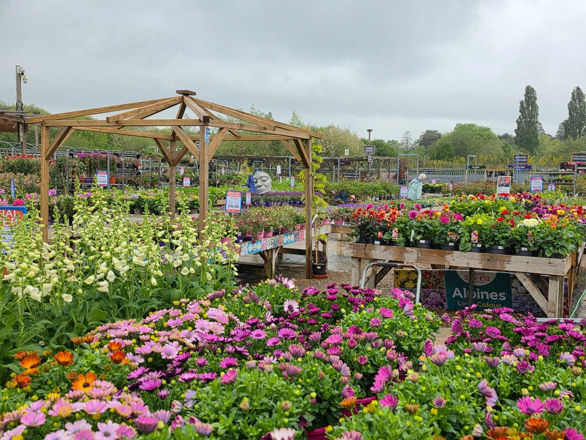 Carpenders Park Garden Centre