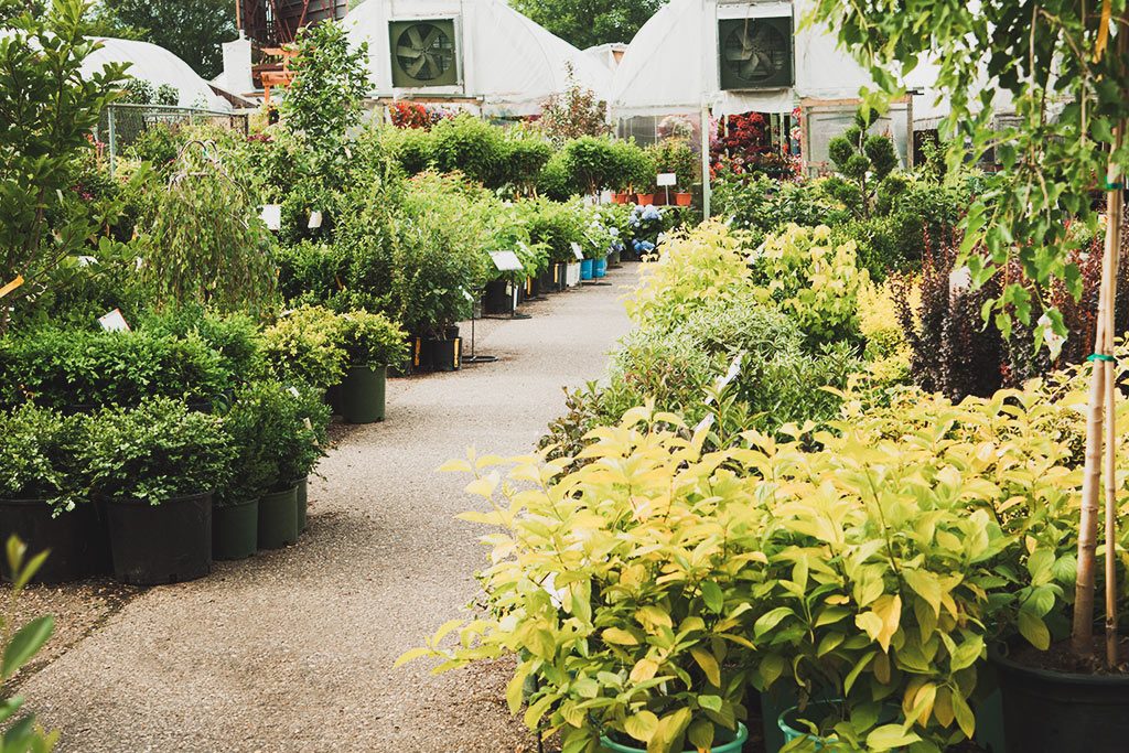 Chepstow Garden Centre