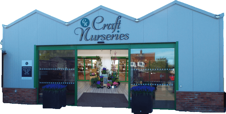 Craft Nurseries