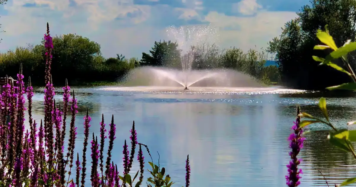 Heathland Group Ltd