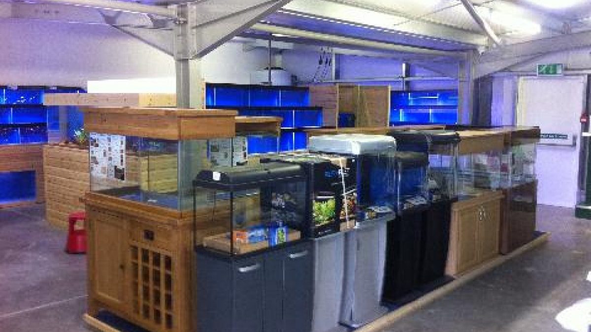 Maidenhead Aquatics Andover