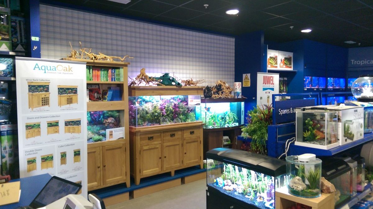 Maidenhead Aquatics Ashford