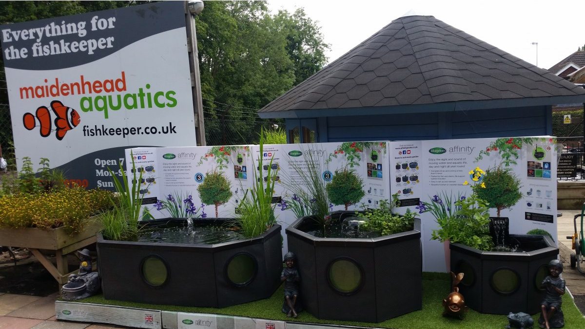 Maidenhead Aquatics Ashtead