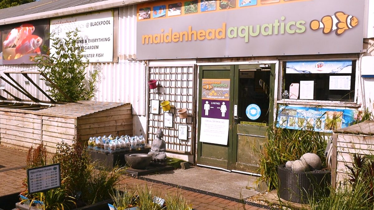 Maidenhead Aquatics Blackpool