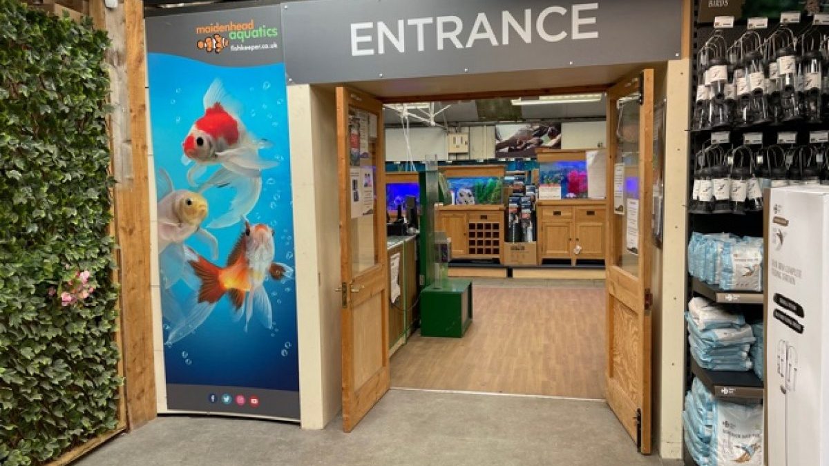 Maidenhead Aquatics Bourne End