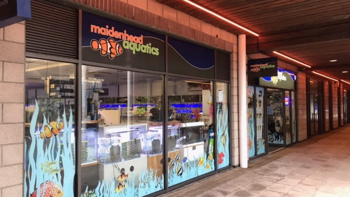 Maidenhead Aquatics Brighton Marina
