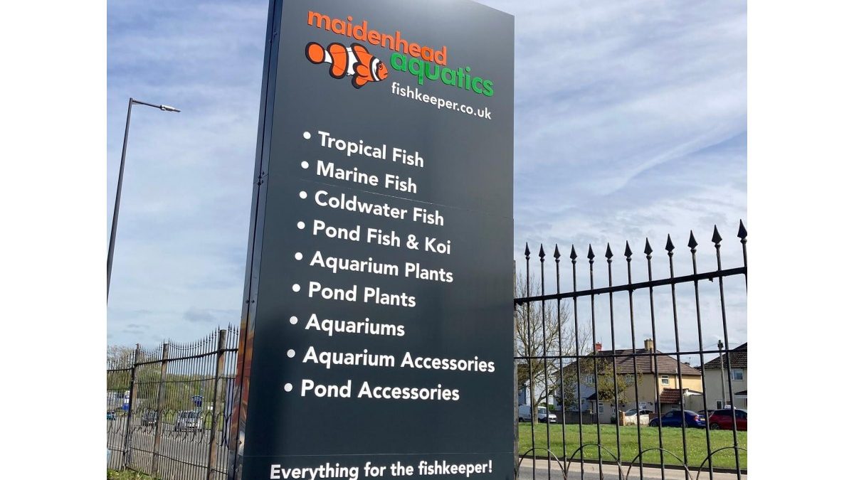 Maidenhead Aquatics Bristol