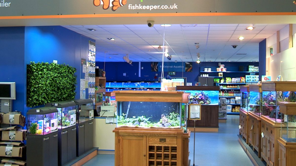 Maidenhead Aquatics Chesterfield
