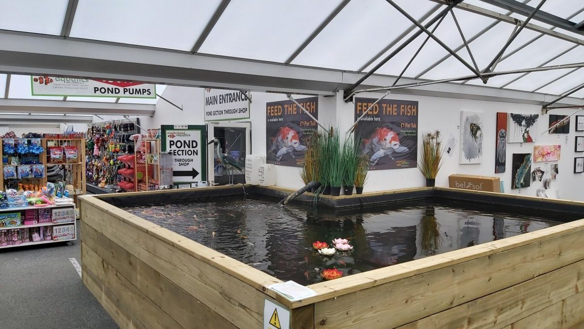 Maidenhead Aquatics Chichester