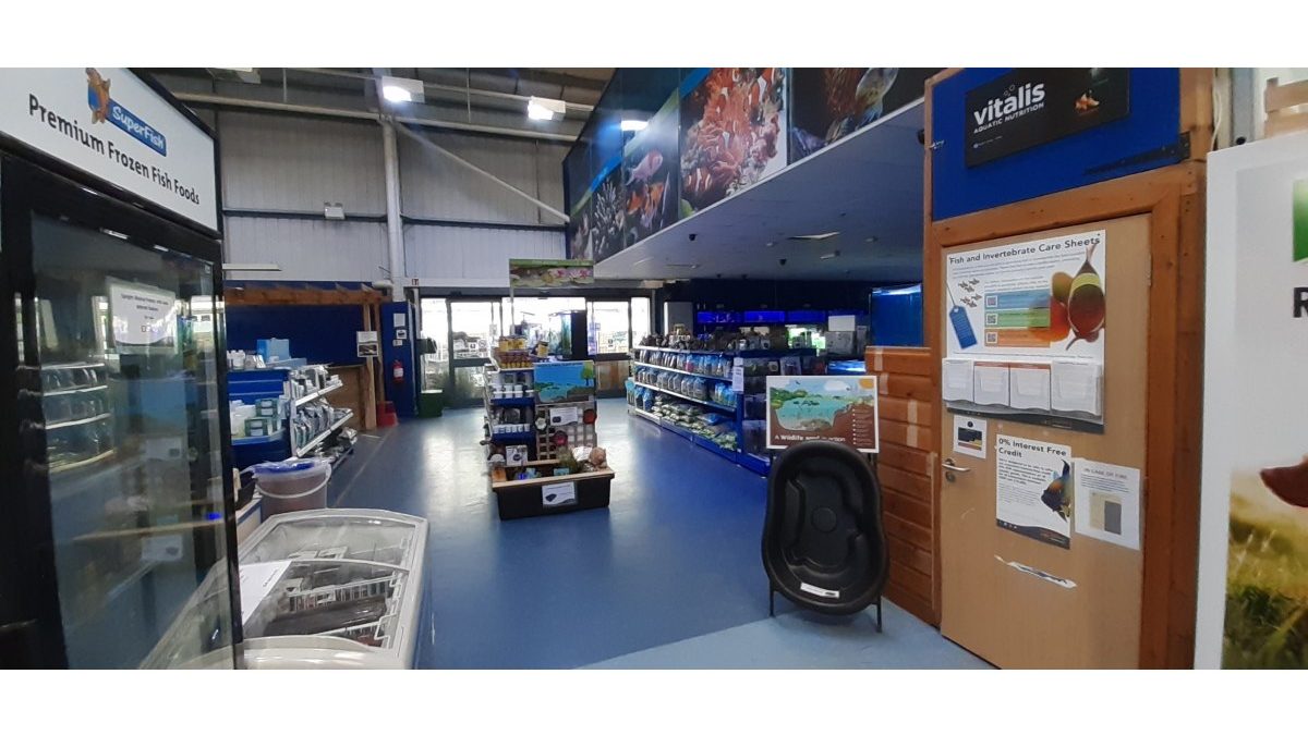 Maidenhead Aquatics Cirencester