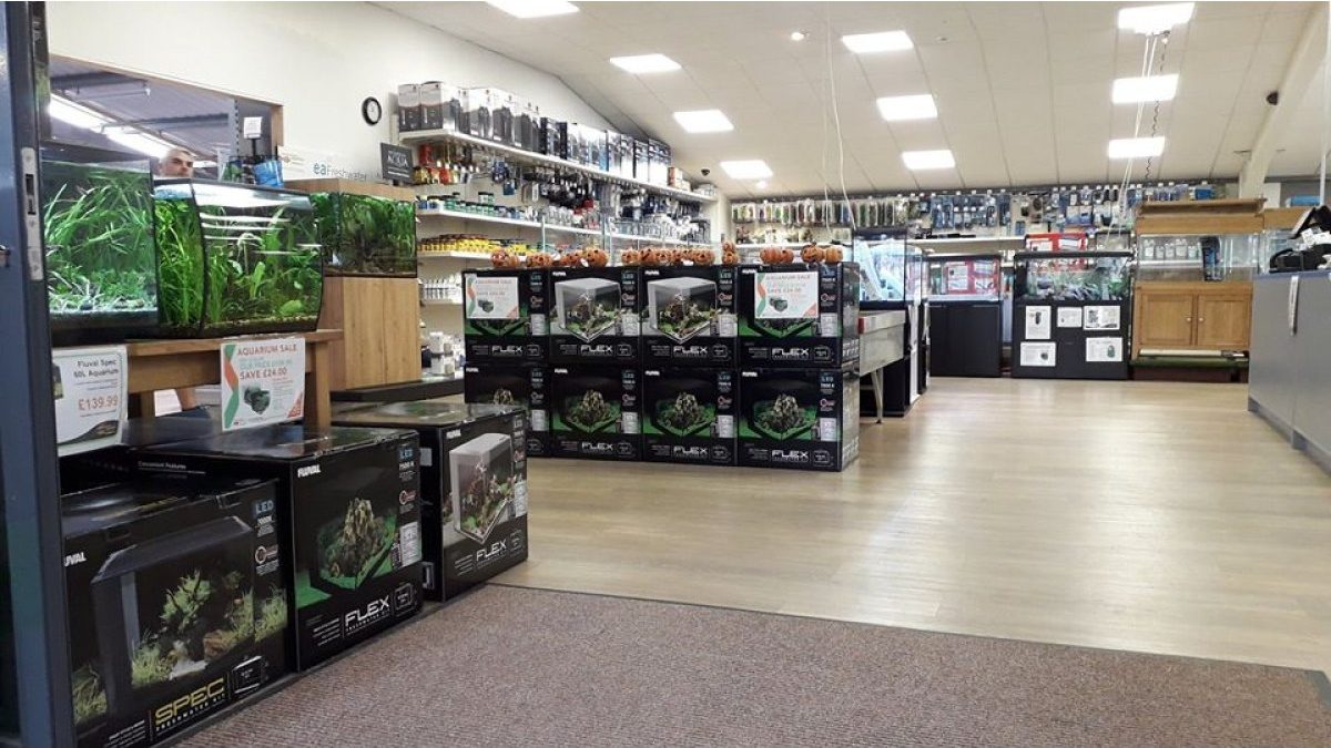 Maidenhead Aquatics Enfield