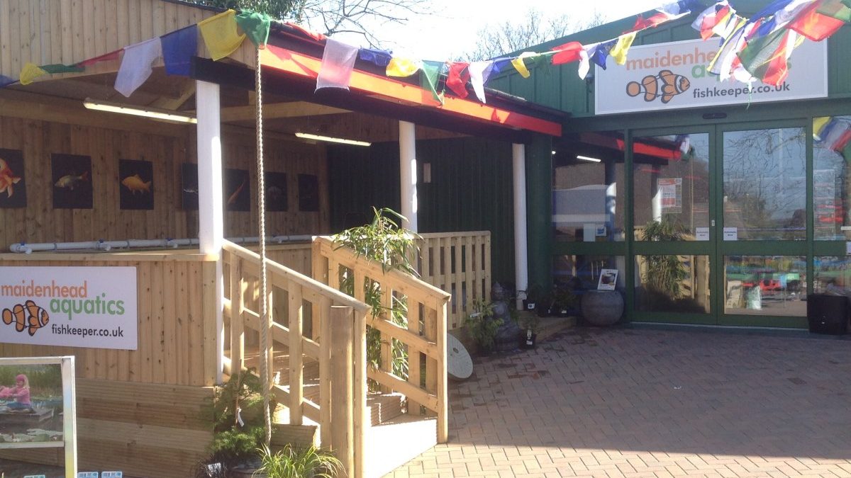 Maidenhead Aquatics Fair Oak