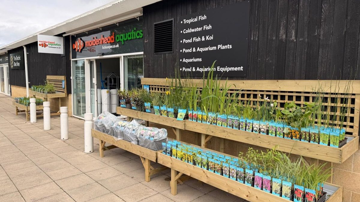 Maidenhead Aquatics Gloucester