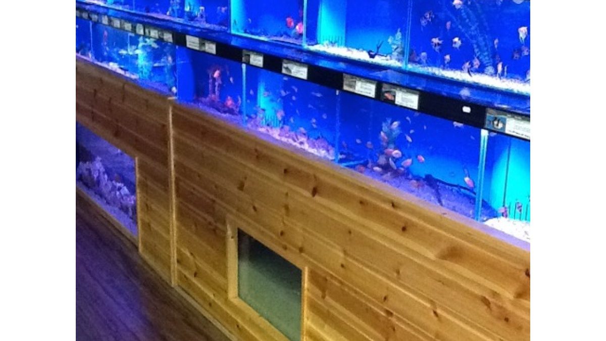 Maidenhead Aquatics Knutsford