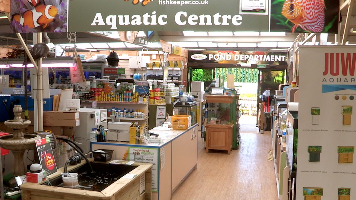 Maidenhead Aquatics Leeds North