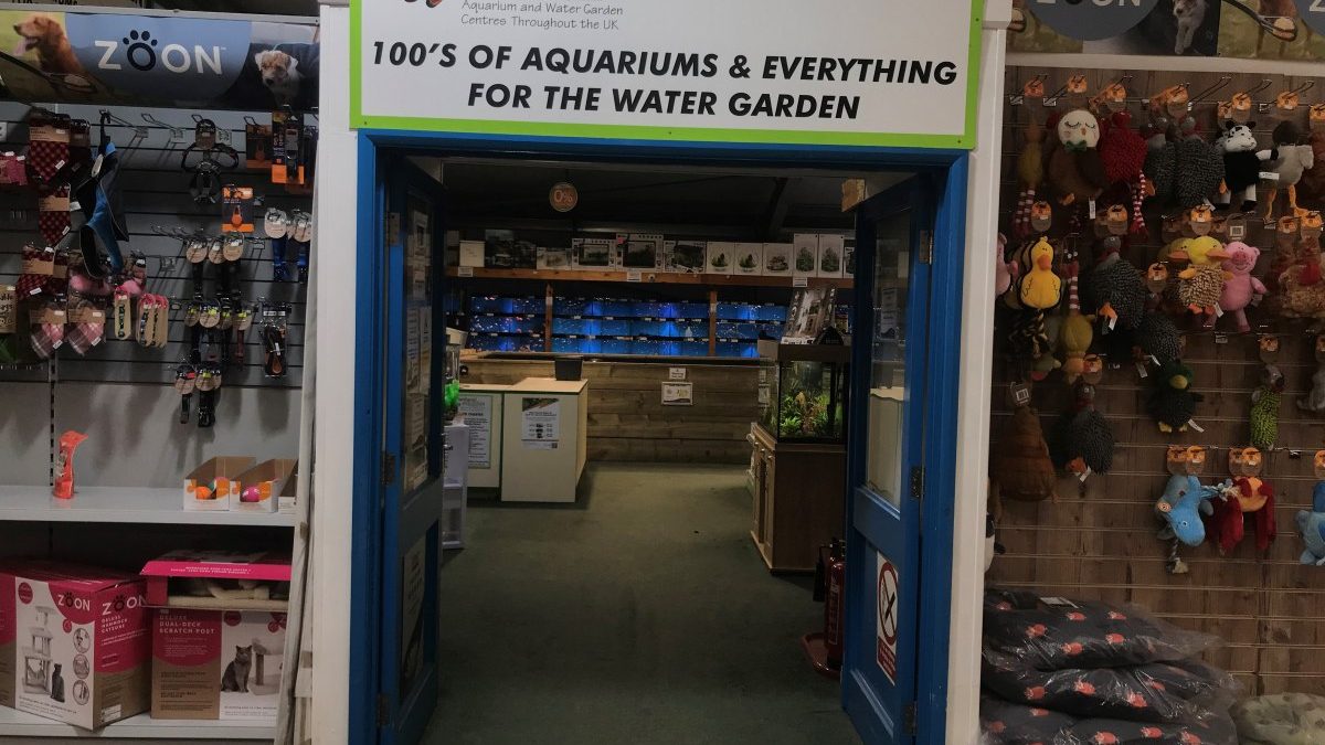 Maidenhead Aquatics Lincoln