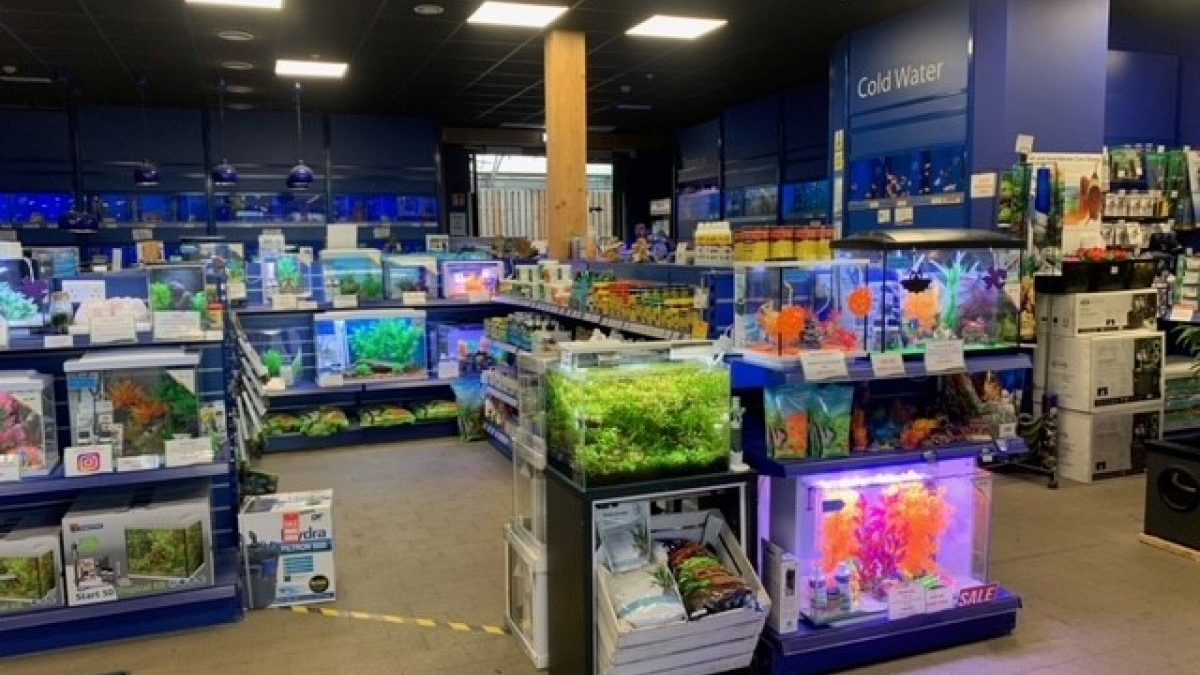 Maidenhead Aquatics Liverpool