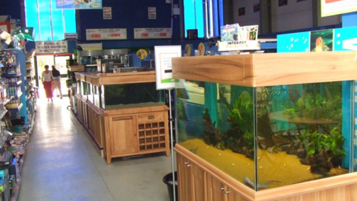 Maidenhead Aquatics Melksham