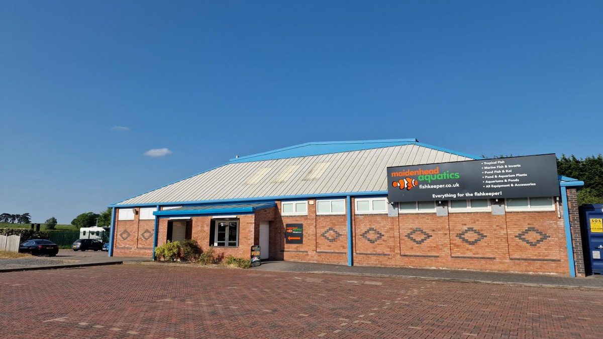Maidenhead Aquatics Mere Park