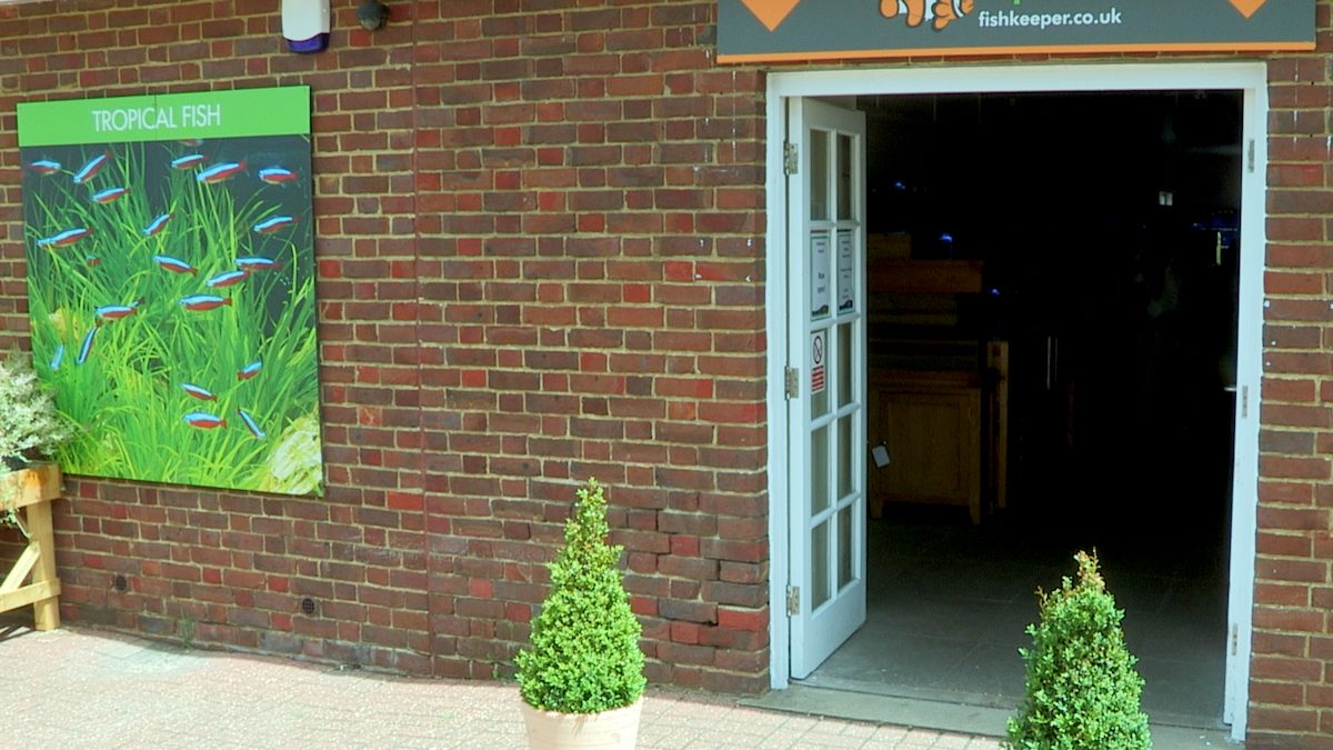Maidenhead Aquatics Morden