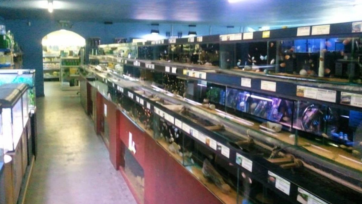 Maidenhead Aquatics Newbury