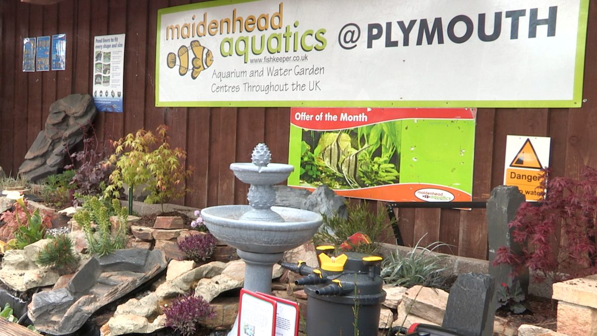 Maidenhead Aquatics Plymouth