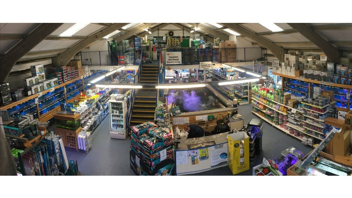 Maidenhead Aquatics Polhill