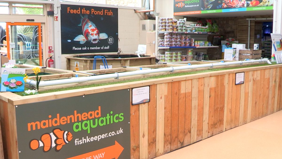 Maidenhead Aquatics Ponteland