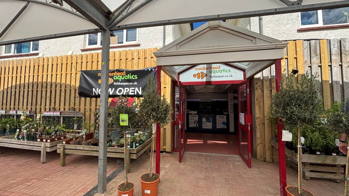 Maidenhead Aquatics Portslade