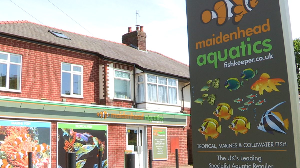 Maidenhead Aquatics Preston