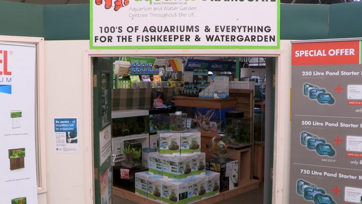 Maidenhead Aquatics Ramsgate