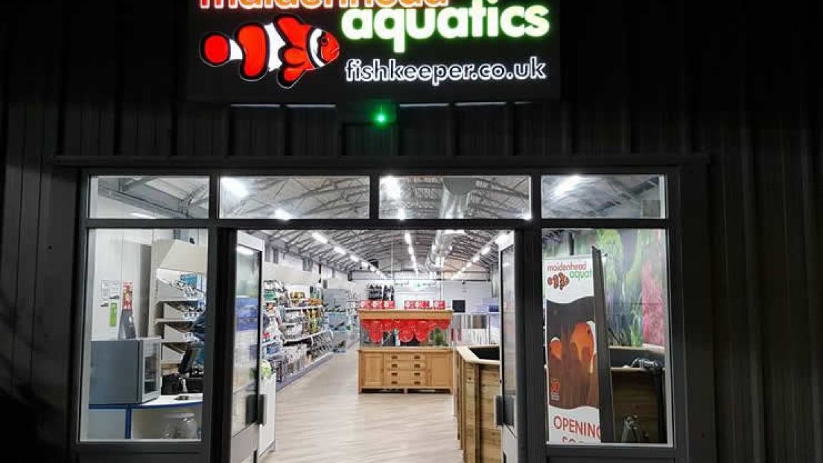 Maidenhead Aquatics St Mellons