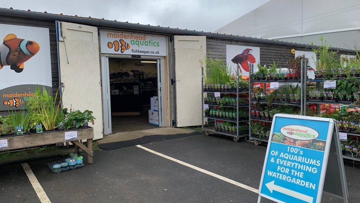 Maidenhead Aquatics Stokesley