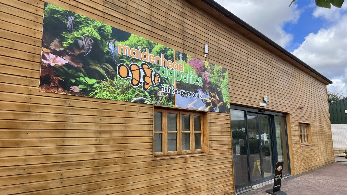 Maidenhead Aquatics Stratford-Upon-Avon
