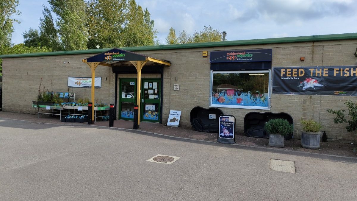 Maidenhead Aquatics Swindon