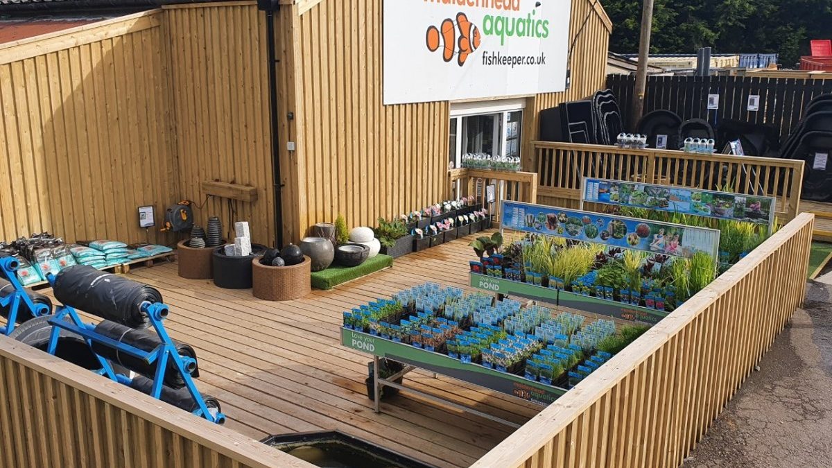 Maidenhead Aquatics Thornbury