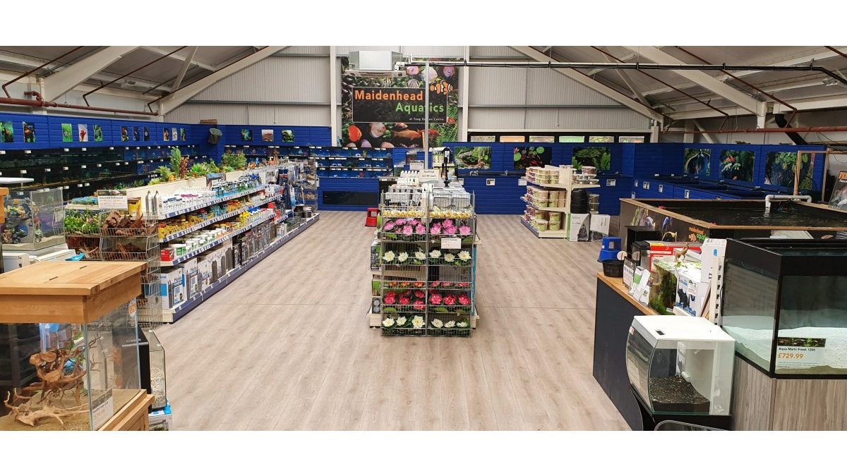 Maidenhead Aquatics Tong
