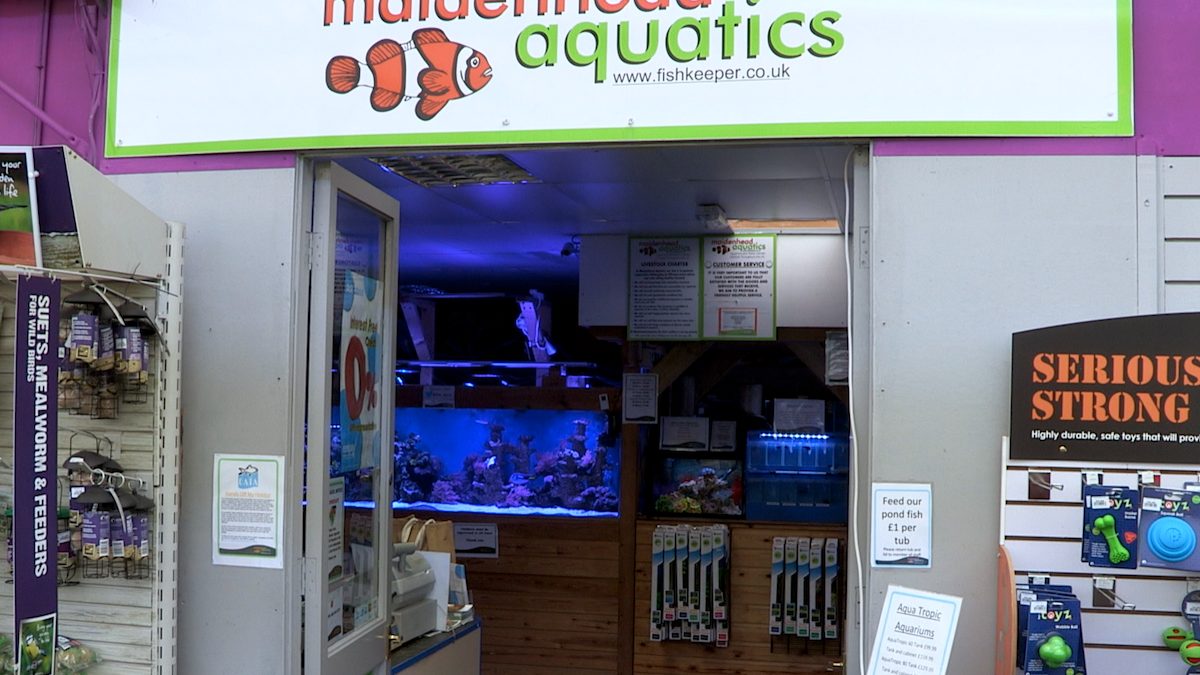 Maidenhead Aquatics Trowell