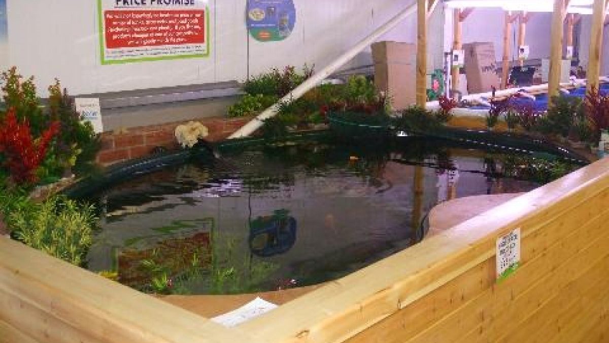 Maidenhead Aquatics Wigan