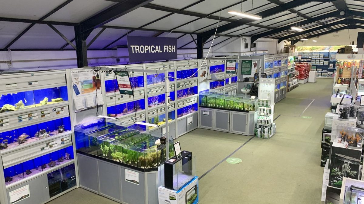 Maidenhead Aquatics Woodcote Green