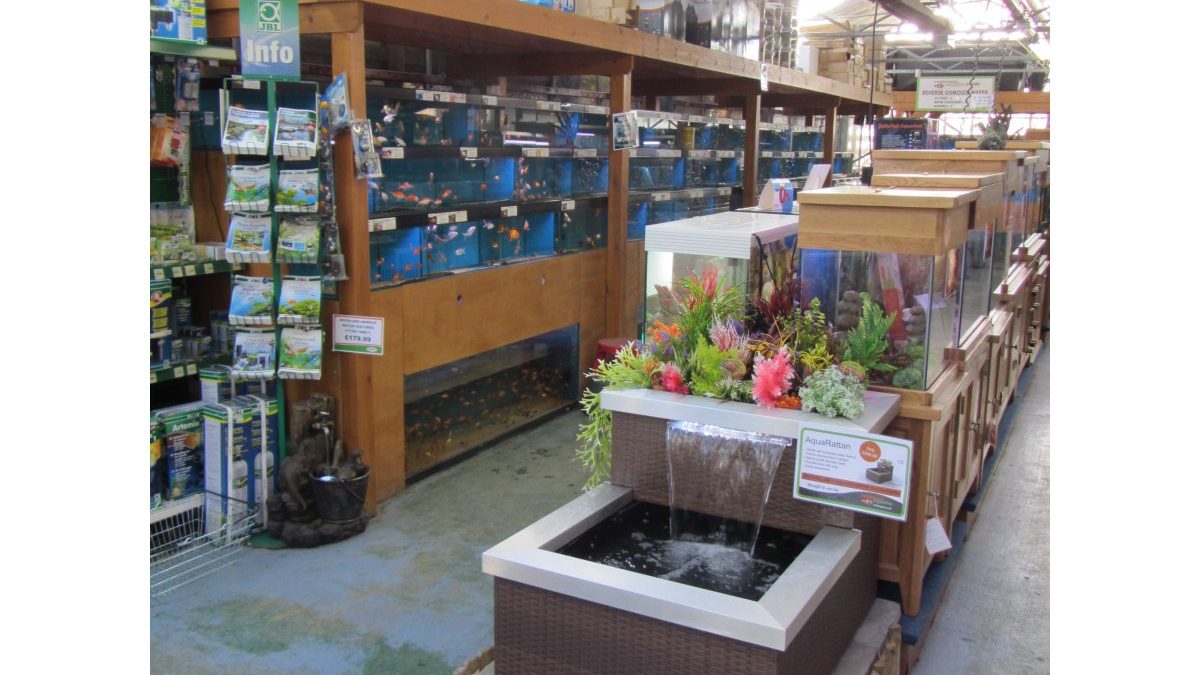 Maidenhead Aquatics York