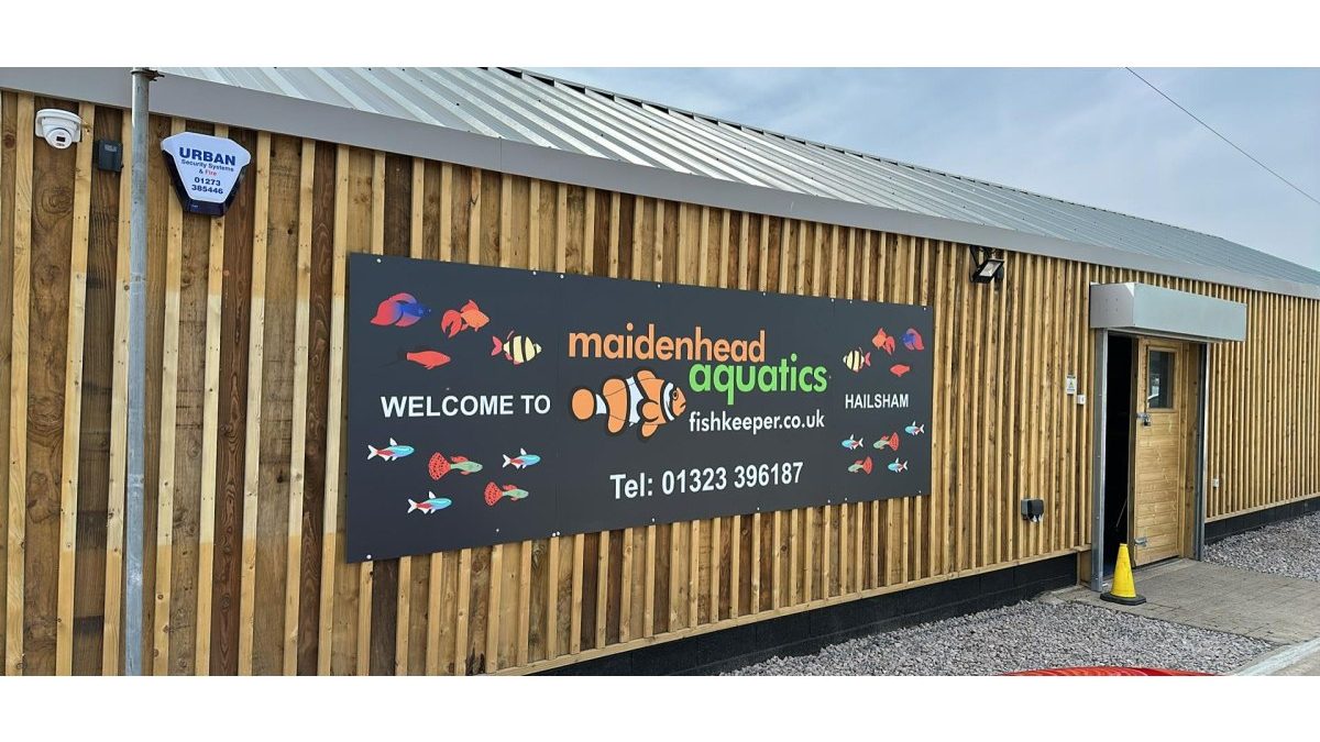 Maidenhead Aquatics