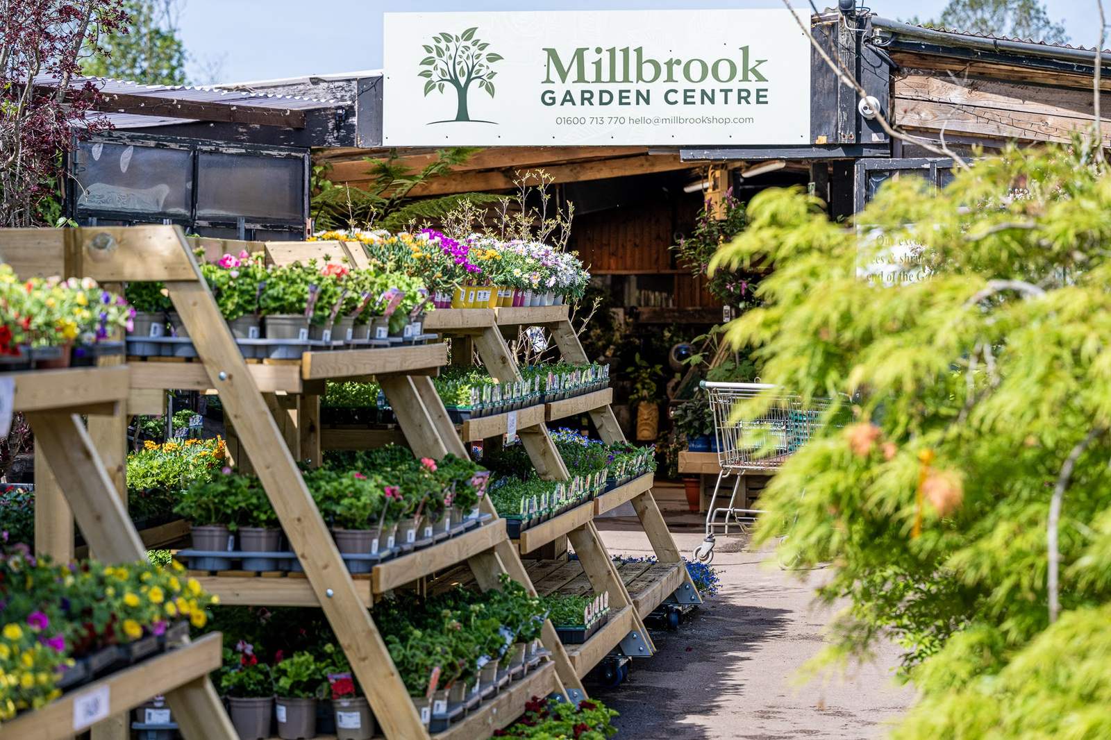 Millbrook Garden Centre