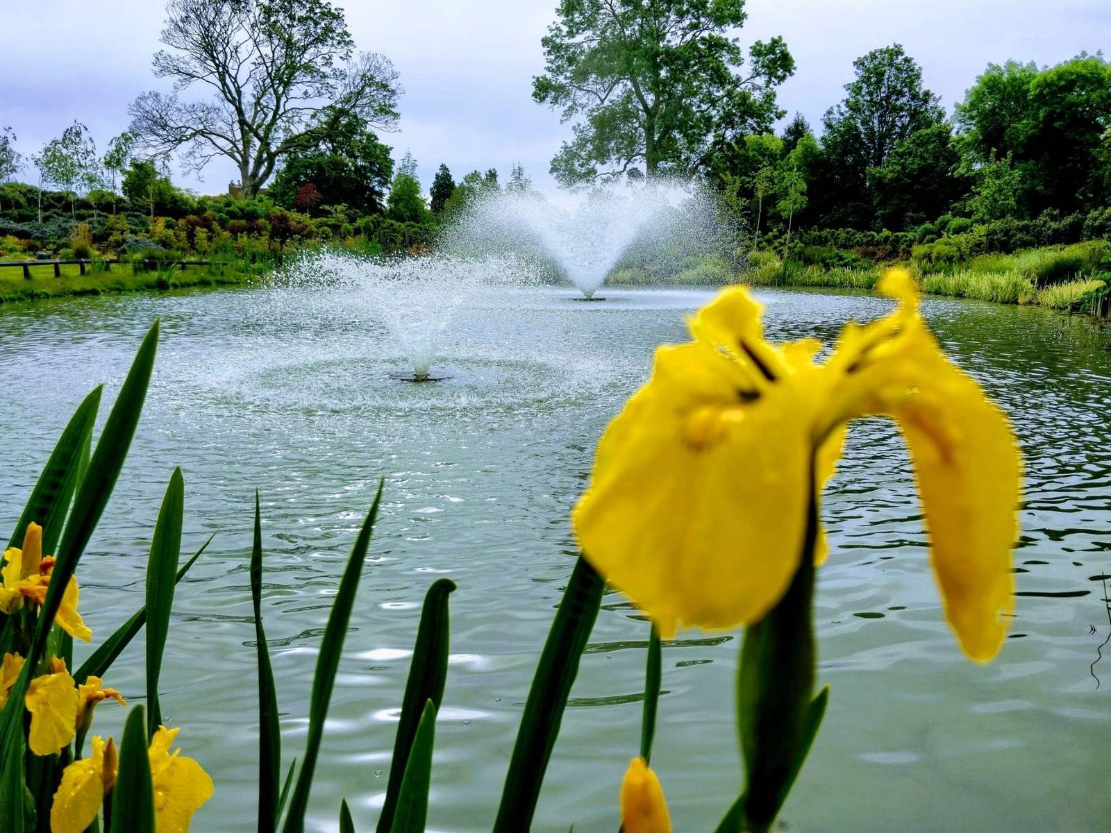 Water Aeration UK