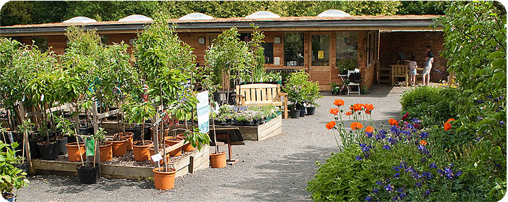 Woodside Plant Centre & Birdhouse Tearoom
